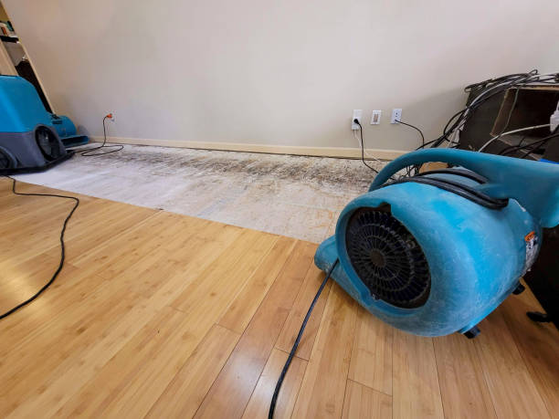 Professional Sewage Cleanup technician working in Wading River, NY